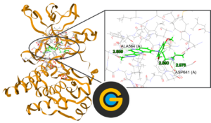 Image of a protein with a ligand docked, with a zoom in the binding site and the GOLD logo at the front.